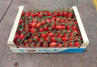 Foto Pomodoro Datterino Origine italia Marchio  Malta 1