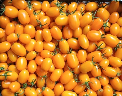 Foto Datterino Giallo Lavorazione In Plastica Origine Italia Marchio Verde Mediterraneo 2