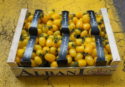 Foto Pomodoro Datterino Giallo Origine Italia Marchio Albani 1