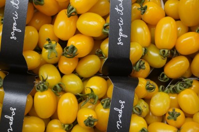 Foto Pomodoro Datterino Giallo Origine Italia Marchio Albani 2