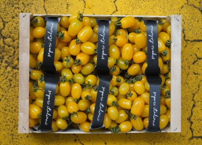 Foto Pomodoro Datterino Giallo Origine Italia Marchio Albani 3