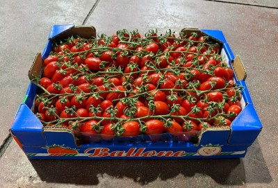 Foto Pomodoro Datterino Origine Italia Marchio Ballone 1