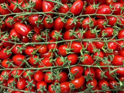 Foto Pomodoro Datterino Origine Italia Marchio Ballone 2