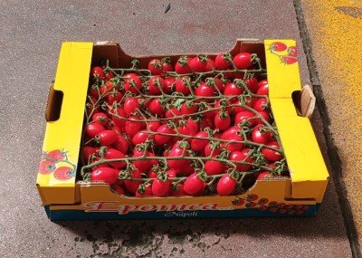 Foto Pomodoro Datterino Origine Italia Marchio Epomea 1