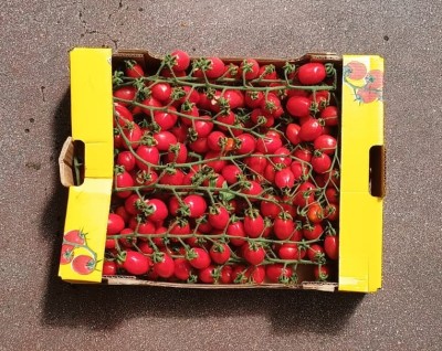 Foto Pomodoro Datterino Origine Italia Marchio Epomea 3