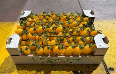 Foto Pomodoro Datterino Giallo Origine Italia Marchio Di Gregorio 1