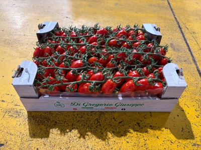 Foto Pomodoro Datterino Origine Italia Marchio Di Gregorio 1