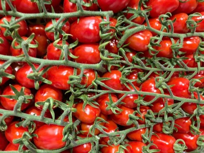 Foto Pomodoro Datterino Origine Italia Marchio Di Gregorio 2