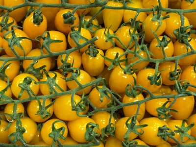 Foto Pomodoro Datterino Giallo Origine italia Marchio Di Gregorio 2