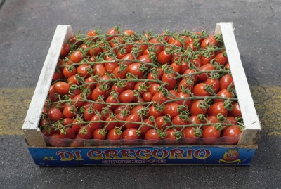 Foto Pomodoro Datterino Rosso Origine Italia Marchio Di Gregorio   1
