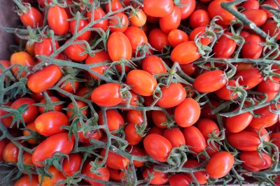 Foto Pomodoro Datterino Origine Italia Marchio Cjapi 2