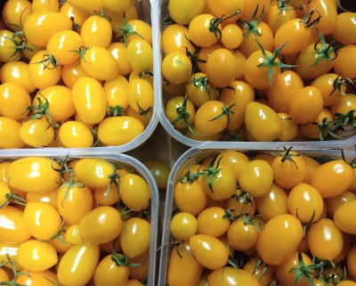 Foto Pomodoro Datterino Origine Italia Marchio Primizie 2