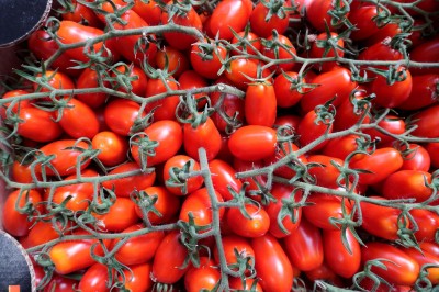 Foto Pomodoro Datterino Origine Italia Marchio Vrapi 2