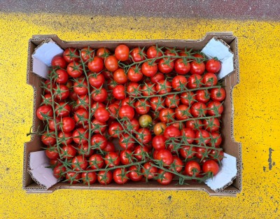 Foto Pomodoro Datterino Origine Spagna Marchio Agrupalmeria 3