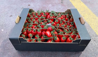 Foto Pomodoro Datterino Origine Italia Marchio Arrabito 1