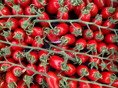 Foto Pomodoro Datterino Origine Italia Marchio Arrabito 2