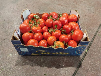 Foto Pomodoro Varietà Grappolo Origine Italia Marchio Sicilia 1