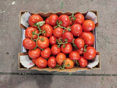 Foto Pomodoro Varietà Grappolo Origine Italia Marchio Sicilia 3