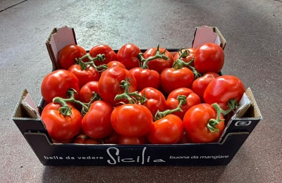 Foto Pomodoro Grappolo Origine Italia Cartone Marchio ''Sicilia'' 1