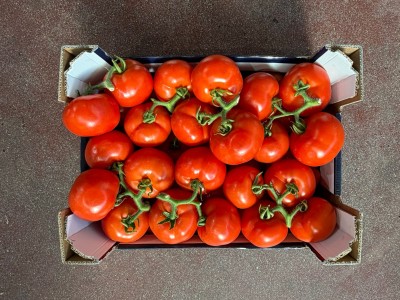 Foto Pomodoro Grappolo Origine Italia Cartone Marchio ''Sicilia'' 3