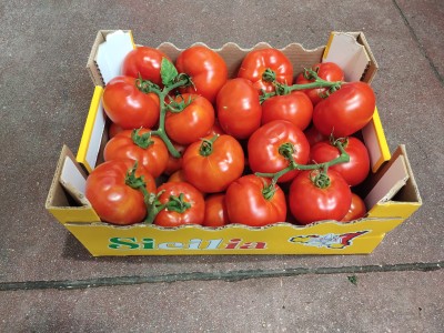 Foto Pomodoro Grappolo Origine Italia Marchio Sicilia 1