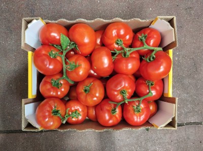Foto Pomodoro Grappolo Origine Italia Marchio Sicilia 3
