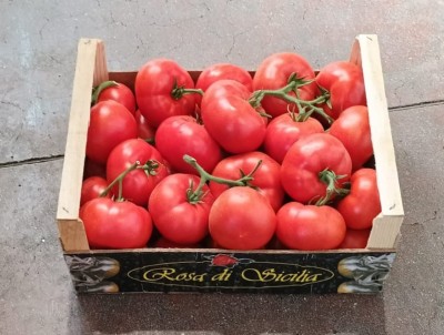 Foto Pomodoro Grappolo Origine Italia Marchio Rosa Alfonso  1