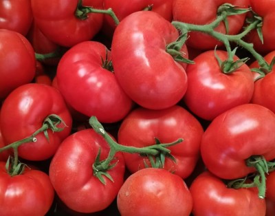Foto Pomodoro Grappolo Origine Italia Marchio Rosa Alfonso  2