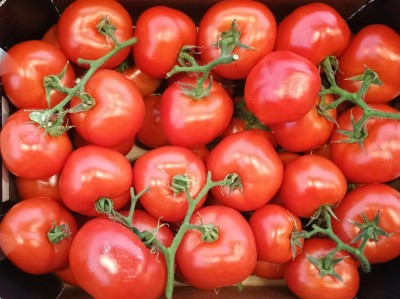 Foto Pomodoro Grappolo Origine Italia Marchio Qualita E Gusto  2