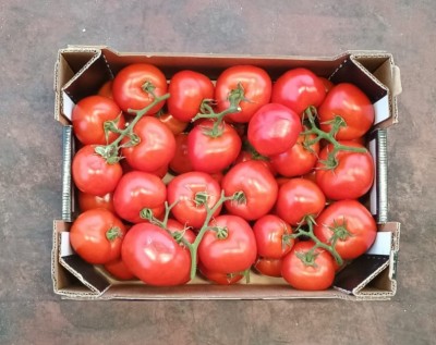 Foto Pomodoro Grappolo Origine Italia Marchio Qualita E Gusto  3