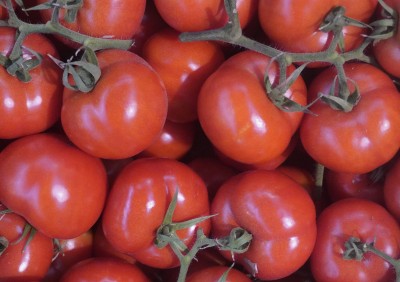 Foto Pomodori Grappolo Origine Italia Marchio Qualità E Gusto  2