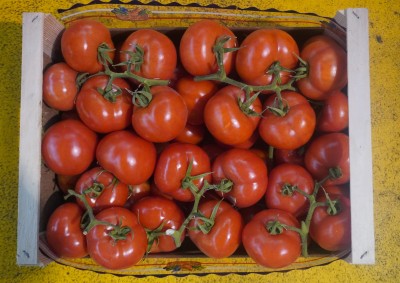 Foto Pomodori Grappolo Origine Italia Marchio Qualità E Gusto  3