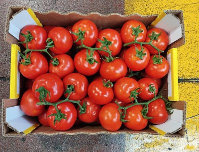 Foto Pomodoro Grappolo Origine Italia Marchio Doppio Gusto 3