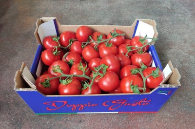 Foto Pomodoro Grappolo Origine Italia  Marchio Doppio  Gusto 1