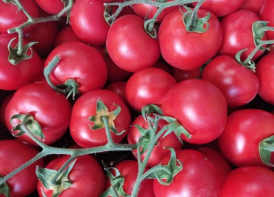 Foto Pomodoro Grappolo Origine Italia  Marchio Doppio  Gusto 2