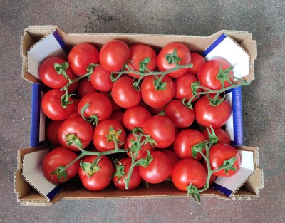 Foto Pomodoro Grappolo Origine Italia  Marchio Doppio  Gusto 3