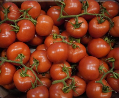 Foto Pomodoro Grappolo Origine Italia Marchio Doppio Gusto 2