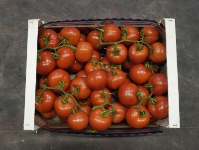 Foto Pomodoro Grappolo Origine Italia Marchio Doppio Gusto 3