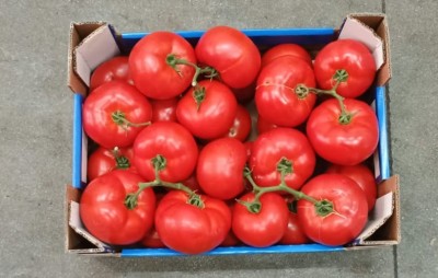 Foto Pomodoro Grappolo Origine Italia Marchio Alma  3