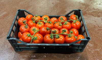 Foto Pomodori A Grappolo Origine Italia Marchio Vilardo 1