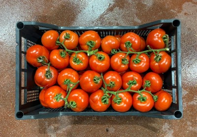 Foto Pomodori A Grappolo Origine Italia Marchio Vilardo 3