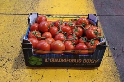 Foto Pomodoro Grappolo Origine Italia Marchio Quadrifoglio  1