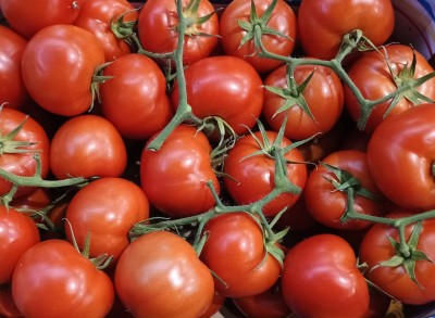 Foto Pomodoro Grappolo Origine Italia Marchio Quadrifoglio  2