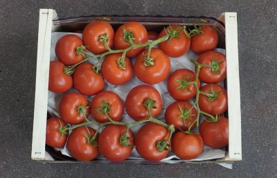 Foto Pomodoro Grappolo Origine Italia marchio Chiaramonte  3