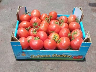 Foto Grappolo Origine Italia Marchio Cutrona 1