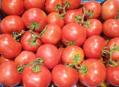 Foto Grappolo Origine Italia Marchio Cutrona 2