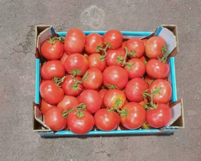 Foto Grappolo Origine Italia Marchio Cutrona 3