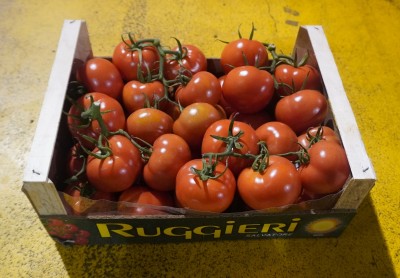 Foto Pomodoro Grappolo Origine Italia Marchio Ruggieri 1