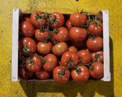 Foto Pomodoro Grappolo Origine Italia Marchio Ruggieri 3