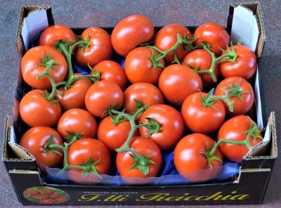 Foto Pomodoro Grappolo Origine Italia/Sicilia Marchio Fratelli Ficicchia 1